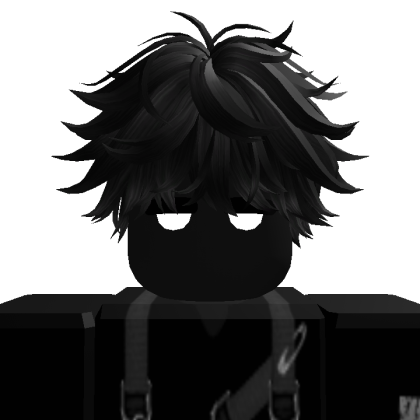 Roblox profile picture for @NachtDBZ