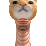 @Jpinkpiy72