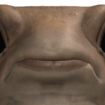 b3an