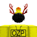 @ozp2009