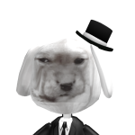 @Perro_Pelea