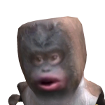 @MONKEY_WOOWOO