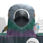 @ThatNYCpigeon