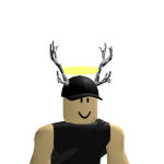 @Rapidenity
