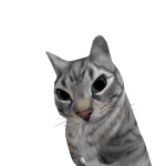 @Meowy_1239
