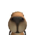 matwmeno_geraki