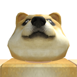 @hamsterbest12357