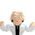 @robloxgamer_f12