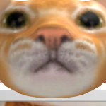 @toastywav