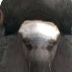 @notidk12781alt_alt