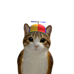 Potato