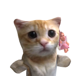 @tumorraaesthetic