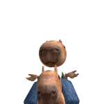 @Turk_adamX