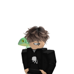 @Prokingroblox777