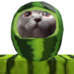 @AriNation31