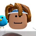 @roblox_user_132271933