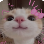@Kittehthe3sillyy414