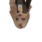 @fluffychickencloud