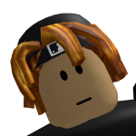 @robloxfan1212113