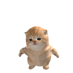 @johnmaster239