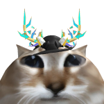 @Its_NinjaSloth