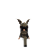 N3WHE1GHTS
