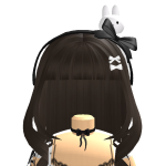 @koineu