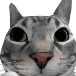 @roxieeeeeeeeeeeeeeee