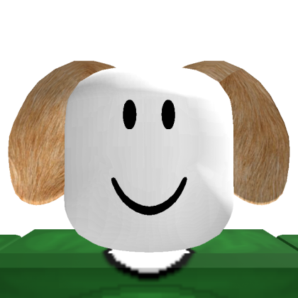 Roblox profile picture for @floppy