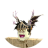 timicarlo
