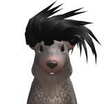 @poopdinonugget
