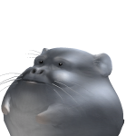 @Adameyst