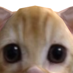 @army13864