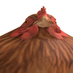 @taylaschoolar11