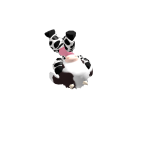 @expertjerome