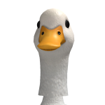 @LilToenailNoodlePete