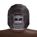@theguywthnohairline