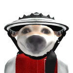 @dbdbvdbjbmdvb