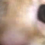@EpicGamerX9