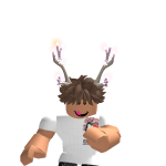@nbp1231