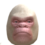 @dimondskullgamer1