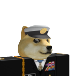 @dogeeee100