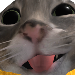 @Kidneon128