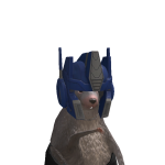 @Permettoio