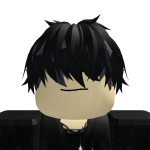 @robloxYT2010jp