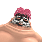 @TheRealFaangZ