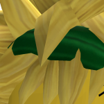 @donzo11111