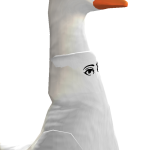 @GrayF0x202