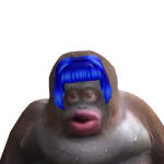 @thecoolbirdy123
