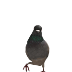 @gl1tterdxst